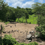 El Salvador activa medidas nacionales ante el avance de la sequía provocada por El Niño