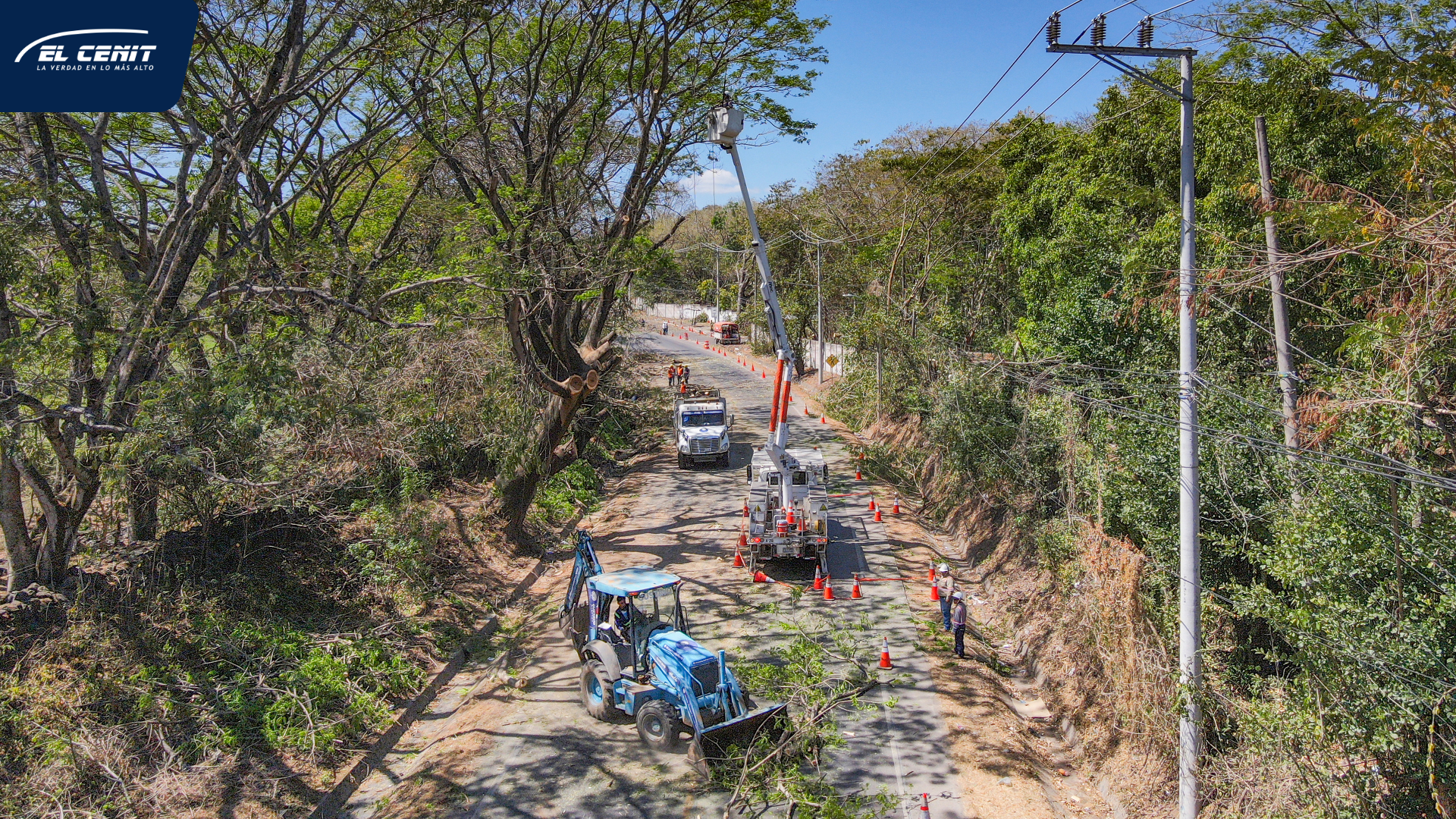 AES realiza jornada de poda sustentable para reducir riesgos eléctricos en Santa Ana