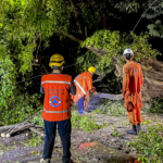 Fuertes vientos y lluvias provocaron caída de árboles y daños en distintos sectores de Santa Ana Centro