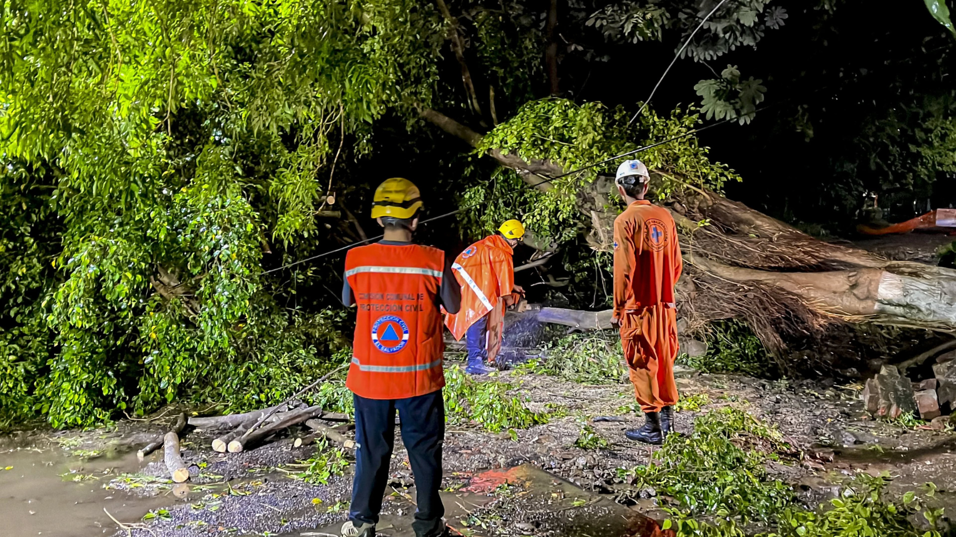Fuertes vientos y lluvias provocaron caída de árboles y daños en distintos sectores de Santa Ana Centro