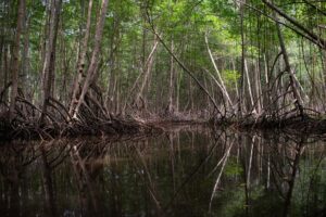UNASA será sede de un foro de periodismo científico sobre los cuerpos de agua